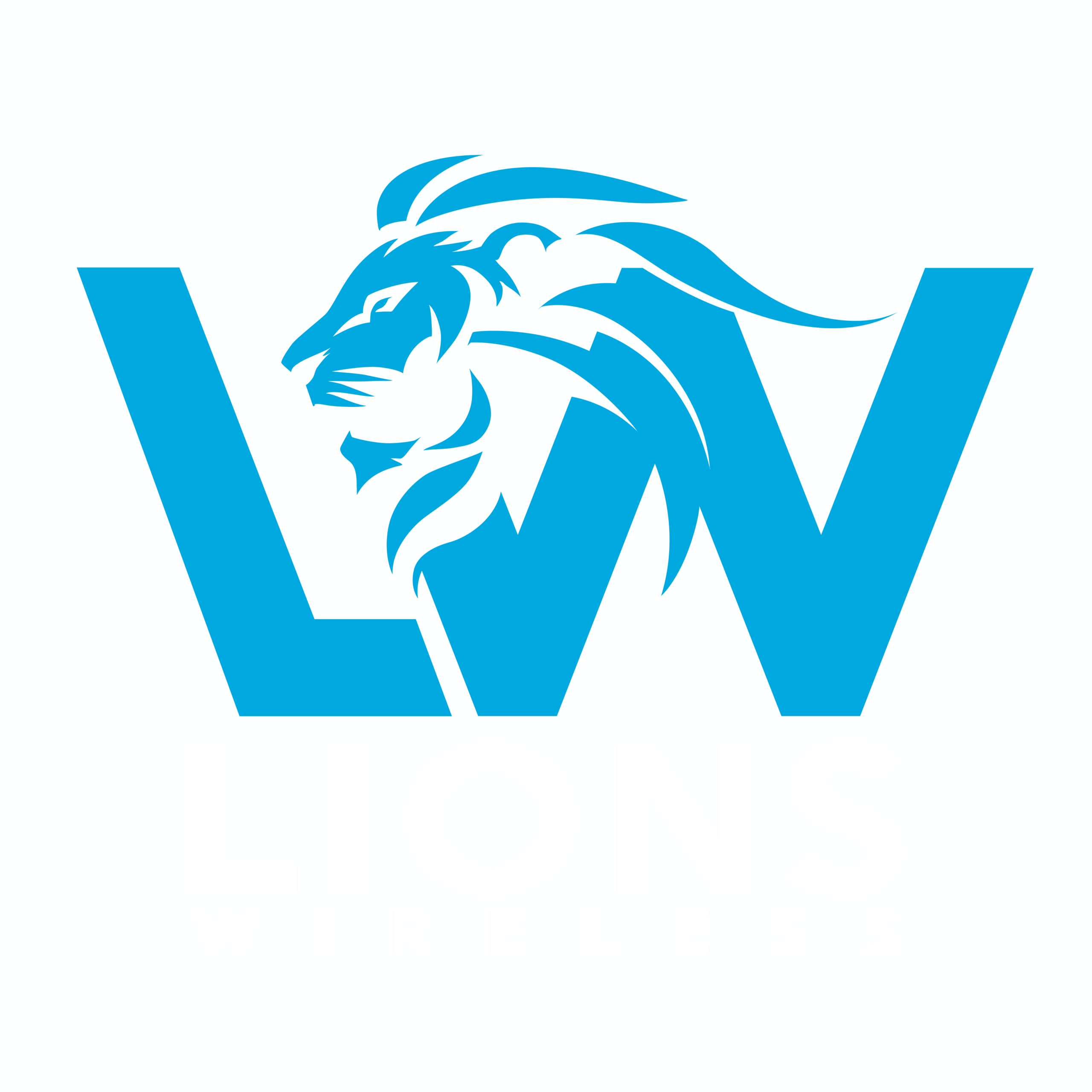 New logo blue white