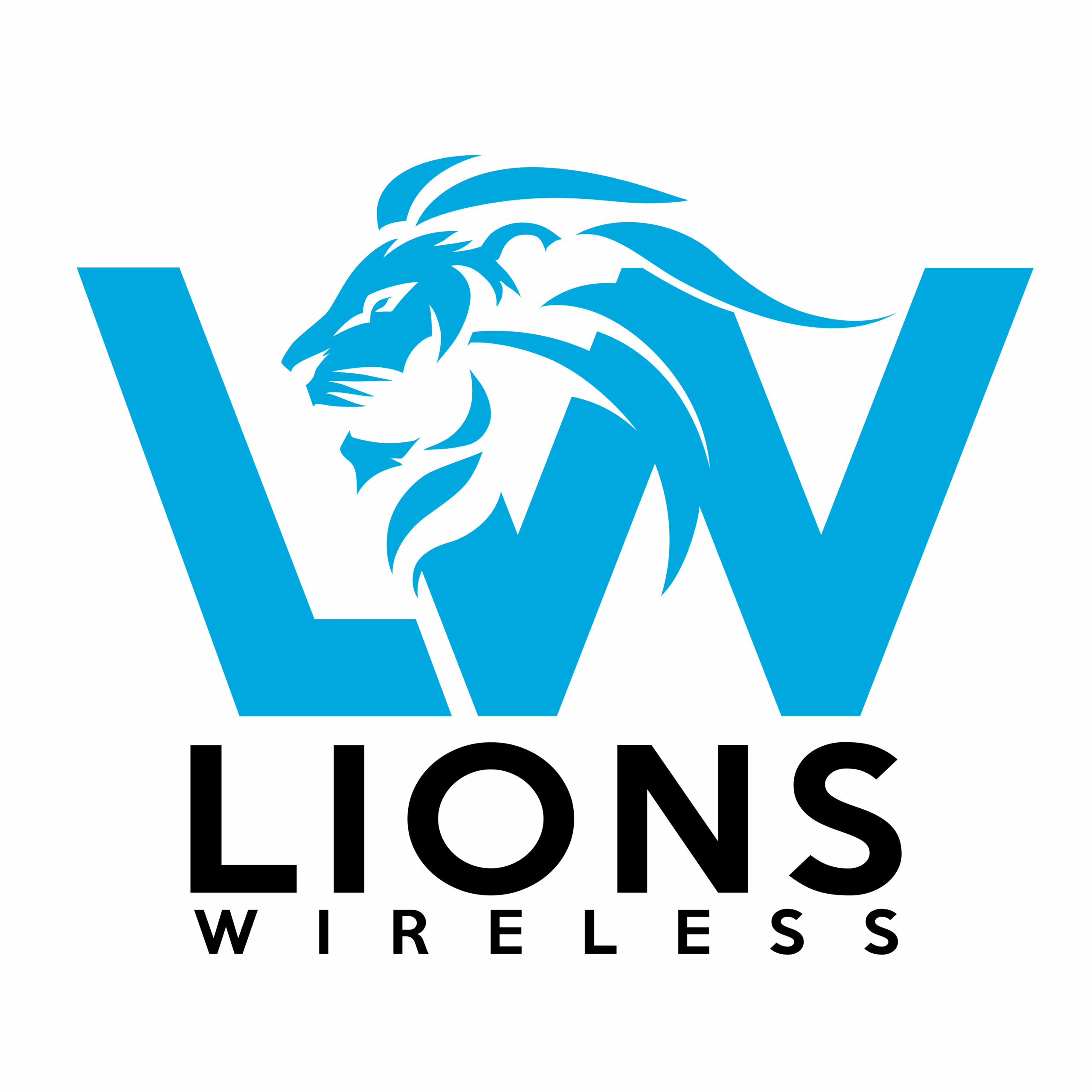 New logo in blue black